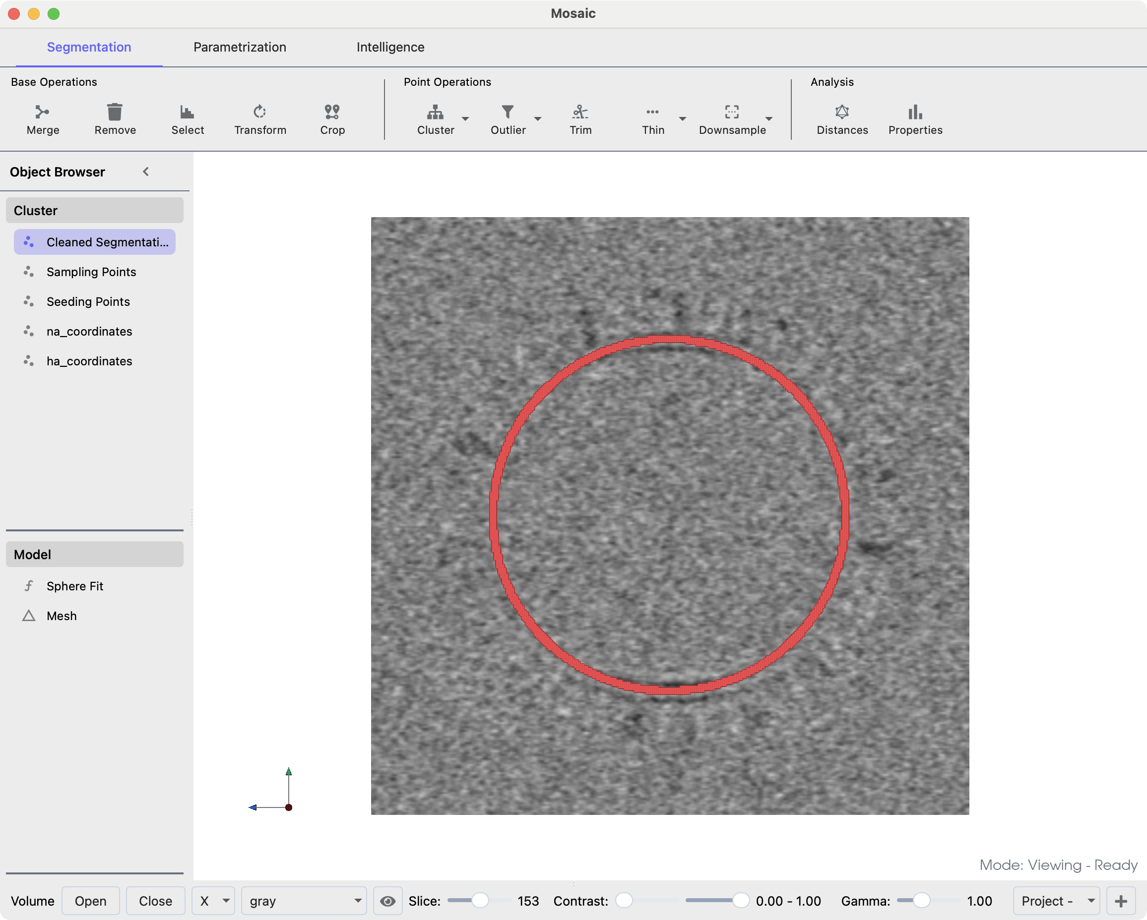 ../../_images/iav_segmentation.png